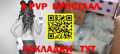 стафф Кандалакша