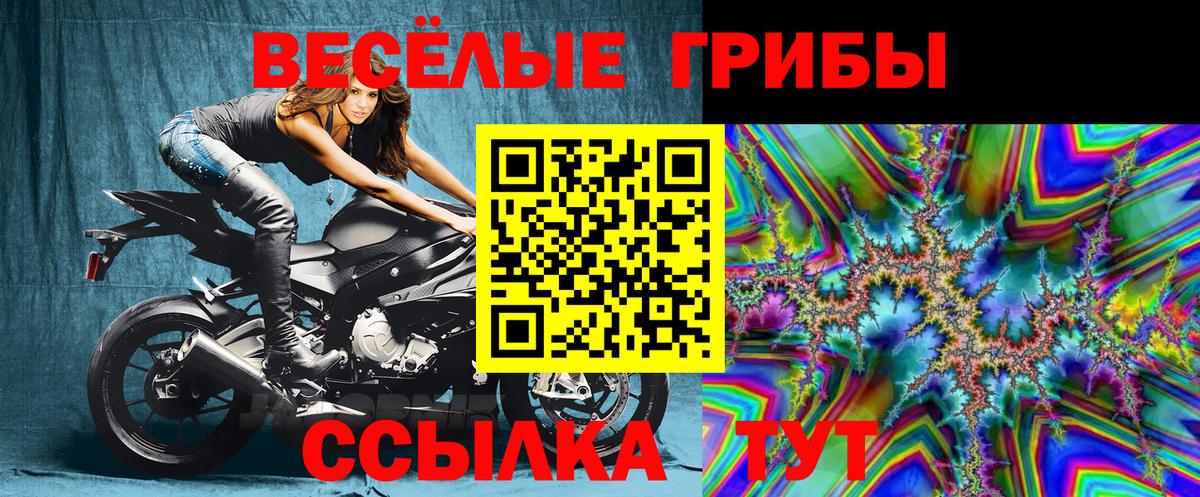 Псилоцибиновые грибы GOLDEN TEACHER Кумертау